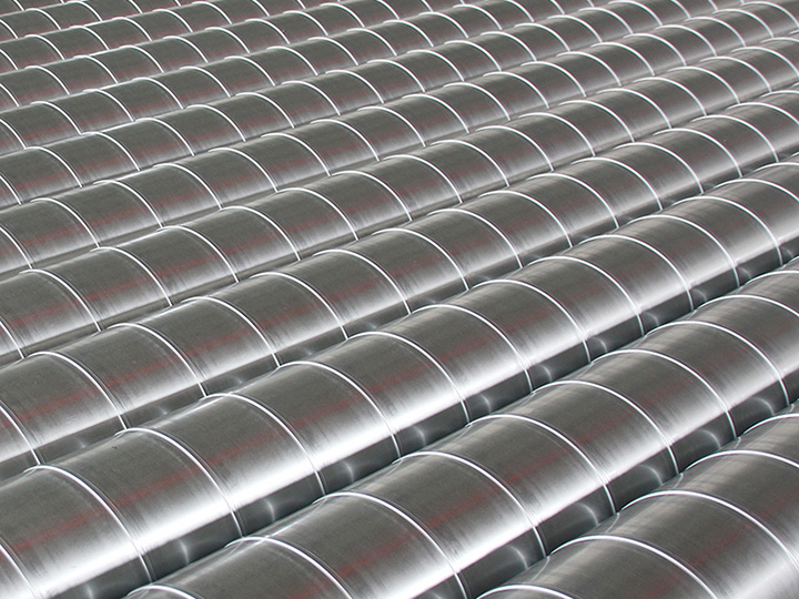 關于白蟻行為學的研究